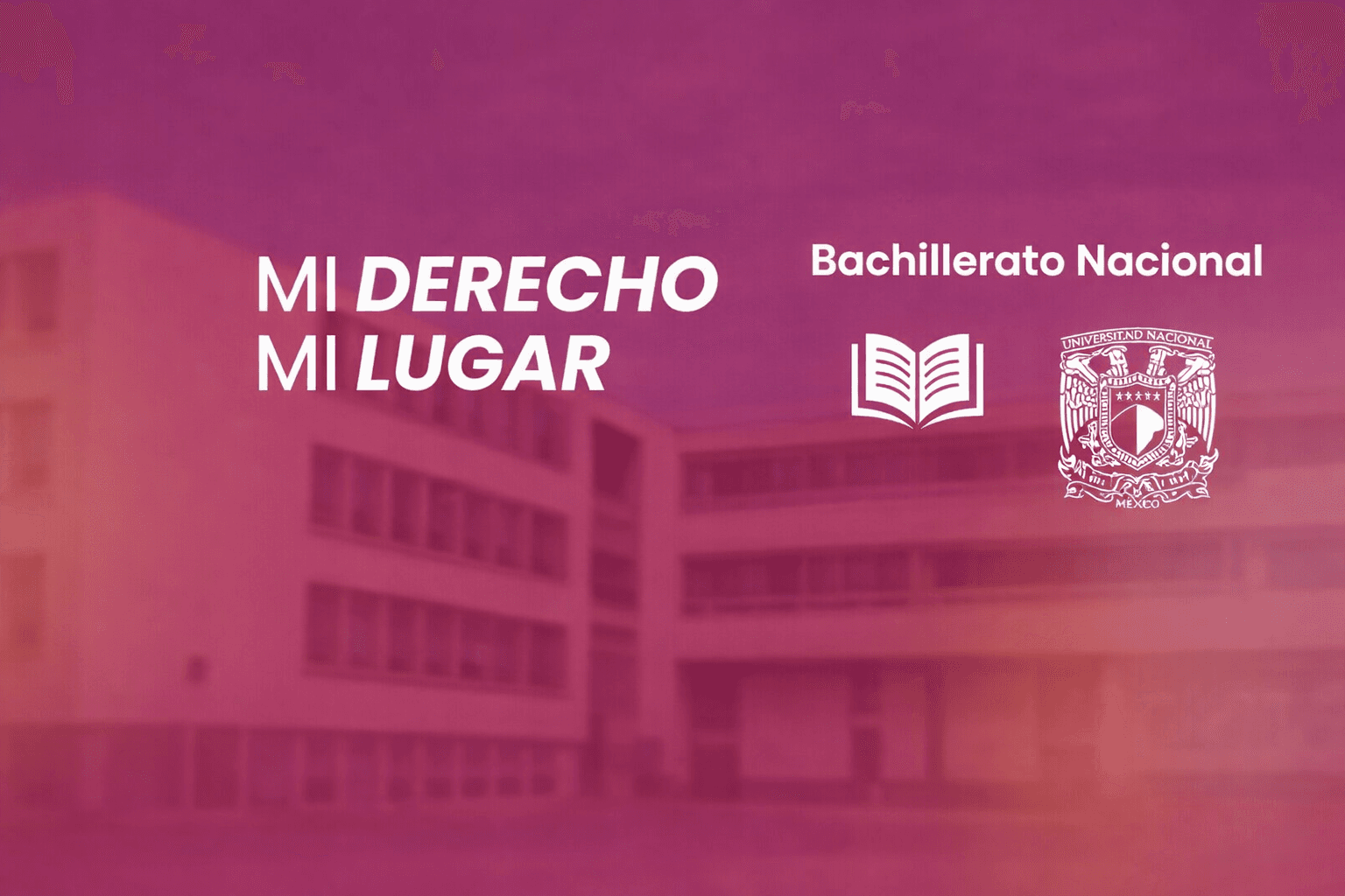 ¿Qué es el ECOEMS y cómo funciona? (Guía básica para no perderte en el proceso)