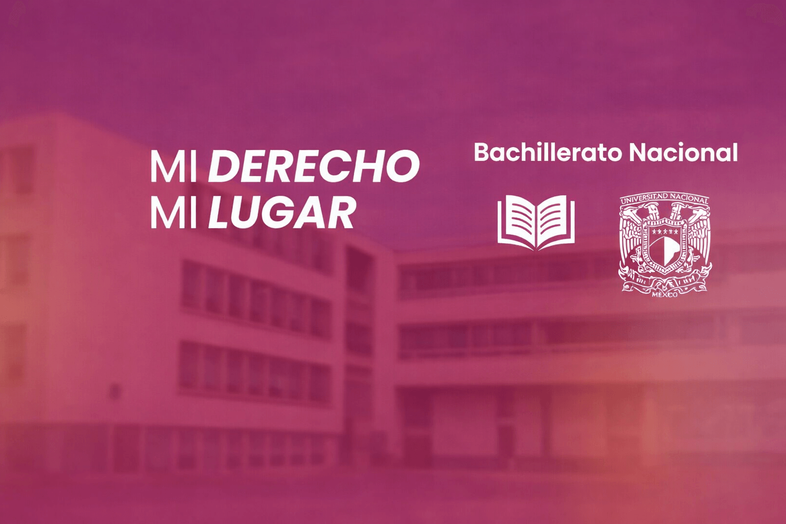 ¿Qué es el ECOEMS y cómo funciona? (Guía básica para no perderte en el proceso)